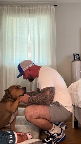“No dog has ever abandoned it’s owner/human because they were old or sick” 🥹 #foryou #eddienchooch #dogsoftiktok #paratii #doglovers #souldog #trending #viral #xybca #dogtok #foryoupage 