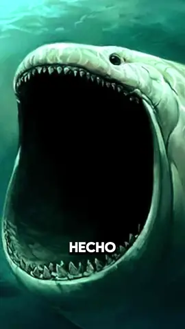 El Bloop😰🌊 #parati #fypシ #foryou #fypシ゚viral #datoscuriosos #interesante #ocean #bloop #CapCut 