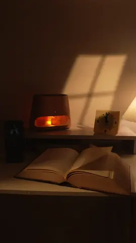 The Salking Salt Lamp Diffuser will make any girl crazy. #saltlamp #CleanTok #aromadiffuser #health #aromadiffuser #humidifier #TikTokShop 