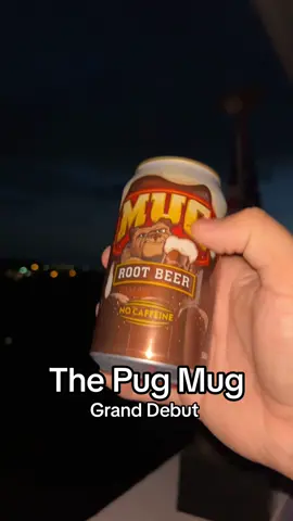 Da Pug Mug #rootbeer #pug #dawg #mug #roober #mugrootbeer #hehe #haha #afferdin #nifreffa 
