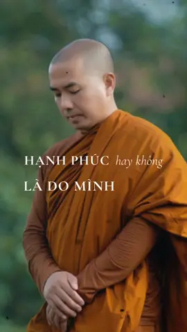 Hạnh phúc hay không là do mình, không phải do người khác #minhniem #thayminhniem #baihoccuocsong #caunoihay #caunoihaymoingay🍀🍀 #phatphapnhiemmau #phatgiao #xuhuong #nhacuata 
