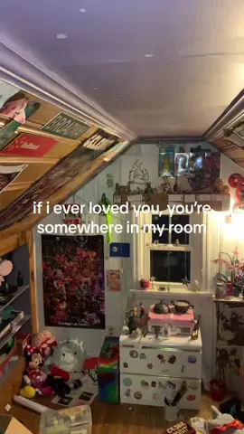 museum of my life #kimyadawson #tireswing #09 #hethey #♡ #iloveyou #myroom #platoniclove #trans #xybca #whywouldilie #apologies 