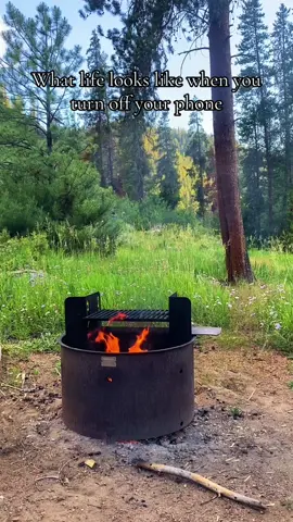 Turn off your phone once in a while #mountaintok #coloradotok #naturetok #coloradomountains #coloradocheck #naturegirl #outdoorsygals 