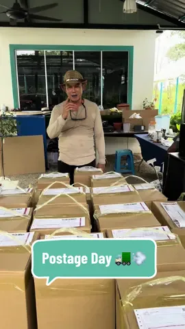 Berminat dengan rose 🌹yang tahan lasak & tahan panas? Boleh tekan link di bio profile kami atau ws no yang tertera di profile kami 🌹🥰🌹 #hermosawhitegarden #hermosa #bungarose #bunga #tipspenjagaanpokok #tipsberkebun #tipsmenanam #tips #ros #rose #garden #fyp #foryourpage #foryou #Love #tipspertanian #bajaorganik #bajabunga #bajapokok #tipstanaman #rosethailand #rosejepun #rosthailand #rosejepun 