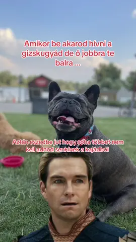 Akkor pá Bogyi 😄😄😄 #neked #nekedbelegyen #nekedbeakaromlatni #fy #fyp #frenchbulldog #puppiesoftiktok 