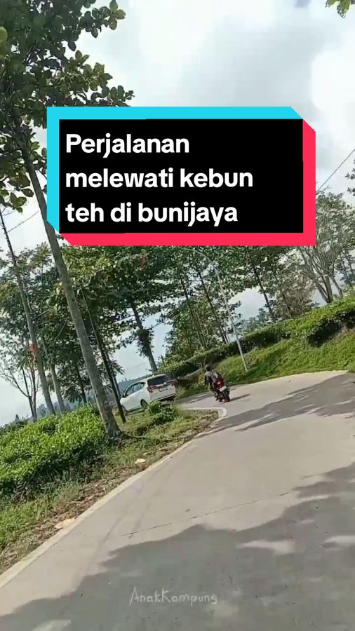 Perjalanan melewati kebun teh di bunijaya  #jalan #jalanhits #perjalanan #kebunteh #bunijaya_gununghalu #bandungbarat #jawabarat 