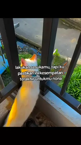 👌🏻#zeri01 #zmn14 #4u #fyp 