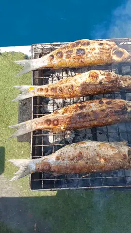 الجو❄️ ده مش عايز غير انك تاخد بعضك و تطلع علي العين السخنه من سكات🤫هتلاقي كل حاجه تخليك مبسوط علي يخوت العين السخنه🔥 هنخليك تقضي احلي 10 ساعه ف عرض البحر ❤🤭 كل اللي عليك كلمنا واحنا هنخليك تخطف رحلة سريعة للسخنة تعزل نفسك عن اي قلق وتبسط نفسك مع عائلتك او اصحابك تستمتعوا وتشوا على اليخت. يخوت العين السخنه للرحلات البحريه أكبر وافخم اليخوت الموجوده في العين السخنه كلمنا وسيب انبساطك علينا 😉😍 * متنساش تسأل على عروضنا *  (اقل اسعار ☝افخم يخوت 🔥اعلي خدمه) ✅ ملحوظه: ١- احنا بناجر اليخت كامل وليس أفراد  ٢- سعه اليخت ٤و٦ و١٠ و١٥ و٢٠و ٣٠ افراد  ✅ للتواصل: اتصال او واتس 01025231121☎️01140433446☎️ ✅ملحوظه : ١-ولو انت عيد ميلادك قرب كلمنا ومتشلش هم حاجه هنخليك تعمل احلي واجمل وافخم عيد ميلاد 🔥 ٢-ولو انت عريس وعايز تعمل هديه جنونيه لعروستك كلمنا وهنخليك تصور سيشن ف نص البحر مع المنظار الطبيعيه 🔥 ٣-يلا بينا بقا علي اليخت ووصف جمال اليخت 🤭 اليخت مجهز ب مطبخ وحمام ومعاك غرفه بها اربع سراير علشان بس لو فرهدت وحبيت تريح شويه ده غير بقا الصالون وجمال الصالون الصالون ده بقا علشان تقعد انت وصحابك تلعبو وتهزرو وتقضو اليوم كلو ضحك 😉😂 نيجي بقا للدور التاني من اليخت ده بقا الجمدان كلو صور هتتصور احلي واجمل صور مع مناظر الجبال والبحر مع بعض 🌊🏖️ وغير كده وكده ده المكان الوحيد اللي تقدر تعمل فيه تان وتان وتنبسط😎#تاجير يخوت في العين السخنة للحجز والاستفسار فو ن او تس 01025231121☎️01140433446