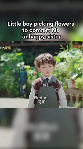 小男孩采花哄不开心的妹妹 #请成为我的家人 #谢彬彬 #郑湫泓  #PleaseBeMyFamily #XieBinbin #ZhengQiuhong #highlights #dramatic #cdrama