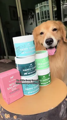 Meet my new bestie, Dr. Shiba @Dr. Shiba & Prof. Bengal SG ! Trusted by pet owners worldwide, their products are made with high-quality ingredients and produced responsibly! Gotta love their treatos because they not only taste yummy, but also have loads of benefits! Check them out and make a new bestie today!  #bydrshiba