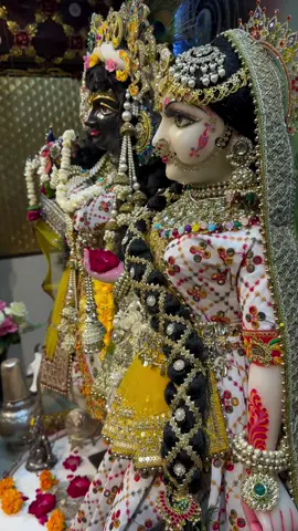 #tere charanon se lipat jaate hai🙏#jayshreekrishna#fypシ゚viral  #radheyradhey #videoviral #trending #radheradhe #🌺🌺🌺 #radheyradhey🦚🙏❤️ #❤️❤️❤️ #fouryoupage #vrindavan_dham 