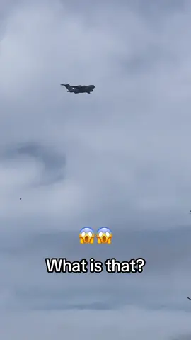 What is that?#كابتن_ميوز 