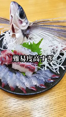 初めてトビウオ刺身の姿造り挑戦したら難しすぎた #トビウオ #姿造り #刺身 #盛り付け #sashimi 