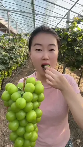 #mukbang #asmr #food #asmrfood  #mukbangasmrfoods #fyp #tiktokvirall #viral #trending #eating #eatingshow #fypシ゚viral 