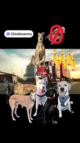 Rapid Response Unit cut them off at the pass. We worked diligently and didn’t give up until we stopped the squirrels  @Chubb The Frenchy @belle.storm.willow @Becker @Tink, Lucy and Munchie🌈🐾 @HARRY_WILLOW_BOWIE @Tesha and Rowdy #hero #mission #armyforever #fy #foryou #dogsoftiktok #dog #fypシ゚viral #letsgo #armys #follow #team 