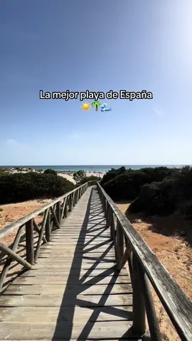 Alguien de acuerdo?? #cadiz #viral 