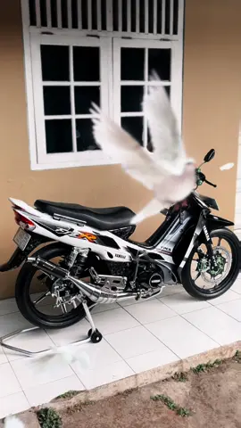 Ga pengen ta dek #fizr #fizrindonesia 