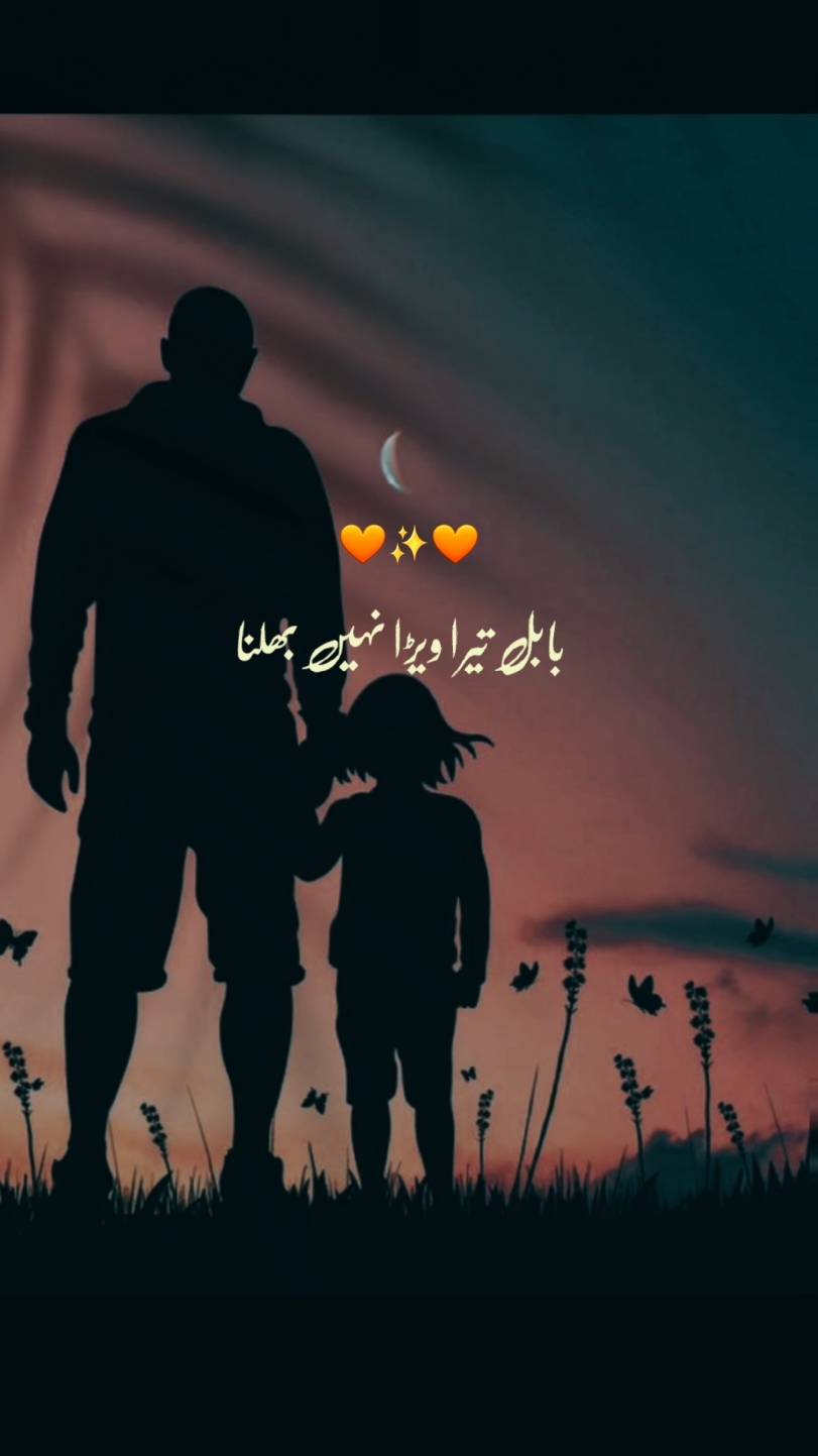 #baap🥰#capcut_edit #babul #punjabi #punjabitiktok #fybシ  #punjabisong#foryou #naat #foryoupage #friends 