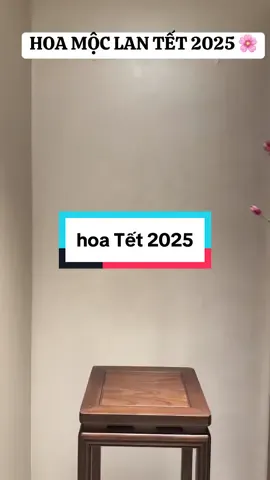 Tết này cắm bình hoa Mộc Lan là đẹp hết ý lun nè #tet2025 #hoatet #ameehoa #xuhuong 