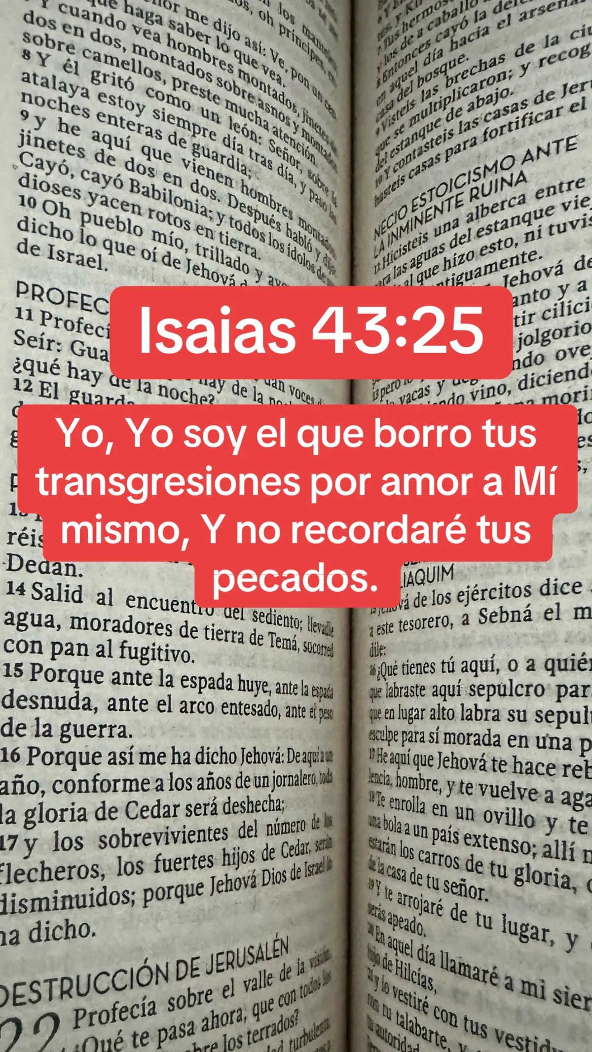 #hagamosviralajesus#biblia#cristo#feliz#jesus#Dios#parati#jovenescristianos#amor#gracias#fe#jesuslovesyou 