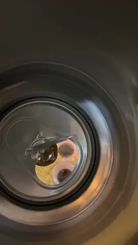 Space grade bacon 🚐 🥓 🥫 #rccar #rccars #gopro #vanlife #vanlifediaries #vanbuild 