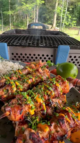 Cilantro-Lime Chicken Skewers!  Juicy chicken infused with zesty lime, vibrant cilantro, and a surprising pop of ginger and garlic. Ingredients for Cilantro-Lime Chicken Skewers: * 1/2 cup extra-virgin olive oil * 1  lime juiced and zested, plus lime wedges for serving * 1/4 cup soy sauce * 1/2 cup chopped fresh cilantro leaves * 1/2 tsp ground cumin * 2 tbsp brown sugar * 1/2 tsp salt * 1/2 tsp black pepper * 1 (2-inch) piece ginger, peeled and finely chopped * 3 cloves garlic, finely chopped  * Chives for topping * Set aside half of dressing for serving.  @NOMAD Grills 