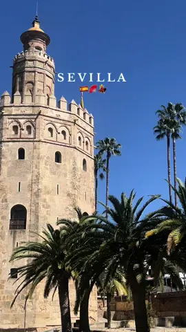 Exploring Sevilla, Spain 🇪🇸 #sevilla #sevillatips #spaingoals #spain #spaintip #spanish #spanishtravel #traveling #exploring #summer2024 #spaintravel #seville #sevillespain #andalucia 