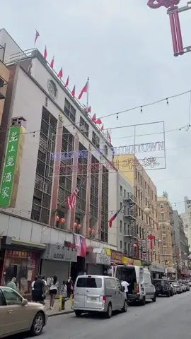 when in nyc, chinatown is a MUST ❤️‍🔥 #newyorkcity #newyork #newyorkcityeats #thingstodoinnyc #nyceats #nycrestaurants #nyctok #nycthingstodo #nycfood #chinatownnyc #chinesefood #dimsum #dumplings #cheapeats 
