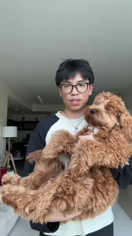 Pinning this to my profile so i can refer to it when people ask me the same questions lol  . . . #fashiontok #necklaces #homer #gentlemonster #kubo01 #margiela #nurse 