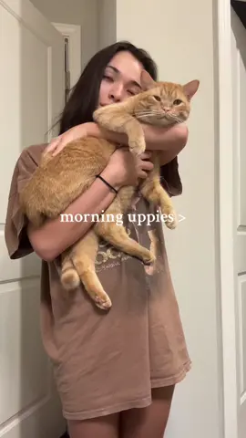 After he spent the entire night sprinting around the living room and keeping me up 🤭#orangecatbehavior #orangecat #orangecatsoftiktok #cuddlycat #catcuddles 