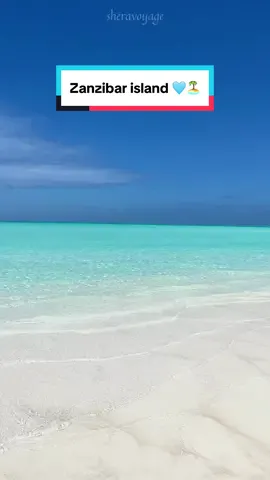 I fell in love with this incredible sandbank in Zanzibar island 😍 What a dreamy travel destination 🩵 #traveldestinations #zanzibartiktok #zanzibarisland #traveldestination #sandbank 