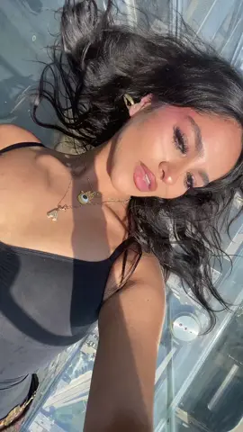 #latina #fyp #chicago #skydeck 