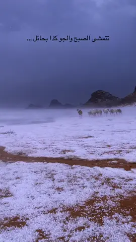 الديره😻. #الشقيق #غرب_حايل #اكسبلور 