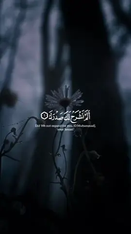 اكتب شيء تؤجر عليه 🤍