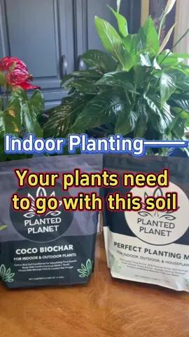#garden #gardening #gardeningtips #plants #planting #plant #homegarden #houseplants #gardentools #indoorplants #indoorgarden 