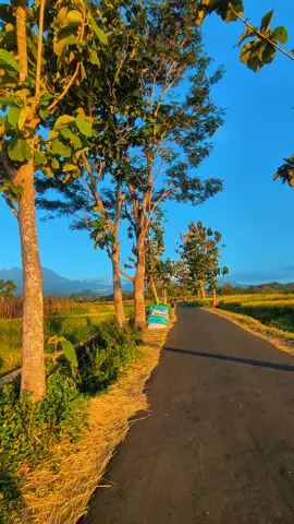 #CapCut pagi yang cerah #mentahanvideo #story #hd 