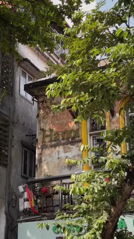 Tui là tui chờ đến mùa này lâu lắm rồi - Thu Hà Nội ơi, đến đây e sẵn sàng rồi! 🍂🍂🍂 #autumn #hanoi #vietnam #thuhanoi 