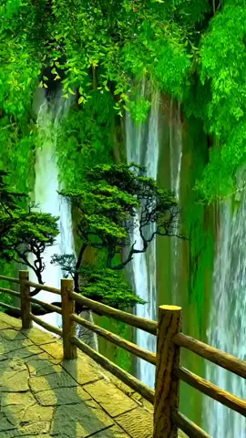 Hoa Trinh Nữ  ...!!!                       #xh #nhachaymoingay #canhdepthiennhien #bolero #xuhuong #foryou #CapCut 