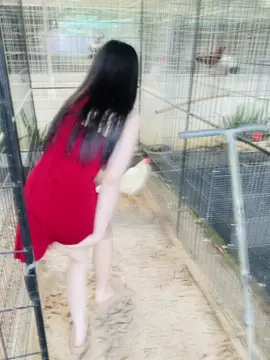 🤭🤭 hông thít màu đỏ hả ta chứ bình thường dạng lắm.