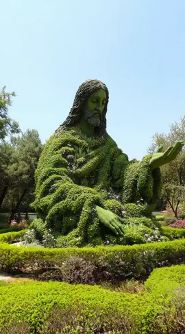 Garden of Grace: Explore this serene Jesus topiary, where every leaf and branch weaves a story of peace and renewal. Crafted with divine hands, this living sculpture brings faith to life in the most natural way. 🍃🙏 #TopiaryArt #GardenSculpture #JesusArt #FaithInNature #ChristianTikTok 