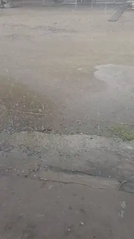 #မဂ်လာပါ #foryourpage #trending #featurethis #😍😍😍 @ko Ye @ko Ye @ko Ye 