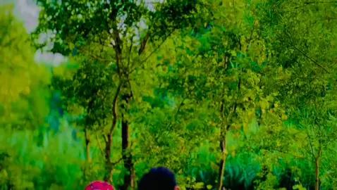 #fyp #foryou  #foryoupage  @sardar muneeb  @SAMI KHAN TANOli #plzzz_saport_me  #tiktokteam  #dontunderreviewmyvideo  #plzunfrezemyaccount 