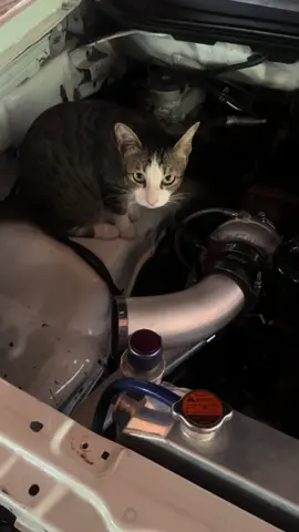 ช่างตัวเล็กไปป่าว#รถบ้านpn #fyp #ท้ายบ้านส้อง #รถซิ่งไทยแลนด์ #รถซิ่งสุราษฎร์ 