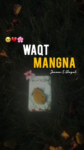 kisi insaan ko itna khud ko muyassir nahi hona chahiye ke agr kabhi uske lehje mai thori si bhi badlao ajai to khud ki jaan hi chali jai! mai manta hoo ye insaan ki sab se bari ghalti hai ke wo kisi insaan ke irado ko jante hoe bhi… ye jante hoe bhi ke ye insaan hamesha rehne wala nahi…ye jante hoe bhi ke khud ko hi taqleef dena hai iske sath! iske bawajood bhi agr wo uske sath rehta hai to wo sab se bara bewaqoof hai! qk agr samne wale ko zera ihsaan hota hamari hasasiat ka to wo kabhi bhi hame ye sb mehsoos krne nahi deta! hame zroort hi kia hoti ye sb mehsoos krne ki ? agr wo itna hi hamare liye fikar mand hota! sb fazool hai is dor mn! muhabbat mar chuki hai sb ke dilon mai! muhabbat ko ab sirf aik waqti hawas smjha ja chuka hai! wo waqt gaya jb muhabbat krne wala apni dastan sunata to logon ke wah wah nikalte! likin ajkl agr muhabbat zinda hai to wo sirf filmon mai zinda hai! mar chuki hai muhabbat sb ke dilon mai! faqat aik zuroort ban gai hai muhabbat jo ke zaroort poori hone pe usi waqt mar jati hai muhabbat💔🌸  #fyp #viraltiktok #foryoupage #capcut #aleykhan #fypシ #janaan_e_ghazal_6 #song #CapCut #fyp @TikTok 