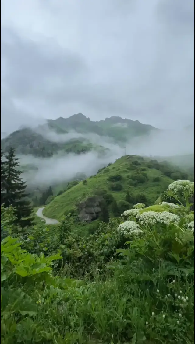 #الطبيعه #الحنين 