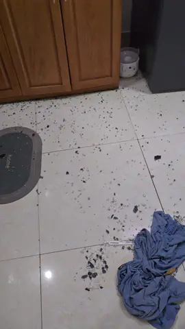 Máy hút mùi kanagawa và điện máy HC May mình mua thangd 7/2023 đêm qua tự dưng phát nổ, may không bị ảnh hưởng gì về người và tài sản. May nổ trong đêm nên không phải giờ nấu ăn nên không bị ảnh hường gì, và cũng may không bị chập cháu gì chứ không hậu quả khó lường. Mình gọi điện cho bên điện máy HC và khiếu nại, và được hãng Kanagawa gọi lại. Hãng nói, bên mình chưa kích hoạt bảo hành điện tử nên nếu kiểm tra thì bên kĩ thuật sẽ qua và phí kiểm tra là 200 nghìn.  - Về vấn đề bảo hành: Mình mua hàng và HC đã tư vấn mình chỉ cần bảo hành qua số điện thoại mua hàng. - Vấn đề máy: Mình không có nhu cầu bên hãng hay HC phải bồi thường máy hoặc sửa chữa cho mình mà mình cần TÌM NGUYÊN NHÂN tại sao máy CHỈ MỚI MUA 1 NĂM đã phát nổ như thế này. Và buổi sáng, có 1 bạn nam bên HC gọi điện báo kỹ thuật sẽ qua kiểm tra, 15h30 chưa thấy bạn qua mình gọi điện thì bạn hẹn 5h chiều, đến tầm 15h55 bạn ý gọi mình không nghe máy (vì đang đổ rác ngoài cửa), thì vào bạn ý đến mình không nghe máy nên bạn ý về và thực tế bạn ý không hề đến. Sáu đó mình điện lại cho tổng đài HC và nói 2 phút sẽ báo lại và bây giờ cũng chưa thấy gì.  Cái mình cần nói ở đây mình cần tìm hiểu nguyên khân tại sao máy nổ, chứ không cần chính sách bảo hành bên hãng và HC. Vì mình xác định sẽ lực chọn tìm mua 1 máy mới ở một hãng khác thay vì Kanaeawa. Vậy nên mọi người dùng bất kỳ thiết bị nhà bếp nào cũng nên chú ý nhé, nguy hiểm dình dập ta bất kỳ lúc nào. May nhà mình còn bị trong đêm nên không ảnh hưởng gì lớn. #kanagawa #siêuthịđiệnmáyhc HC