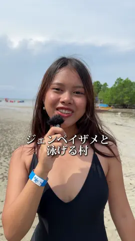 でっっかいサメ！見にきて！ #パゥです。#フィリピン