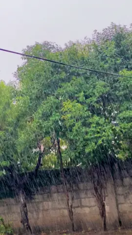 Barana kaga sheba wa ⛈️💚🍀 #rainyday #weather #amazing #rain #baran #khyberpakhtunkhwa #poetrystatus #pashto #viralvideo #viraltiktok 
