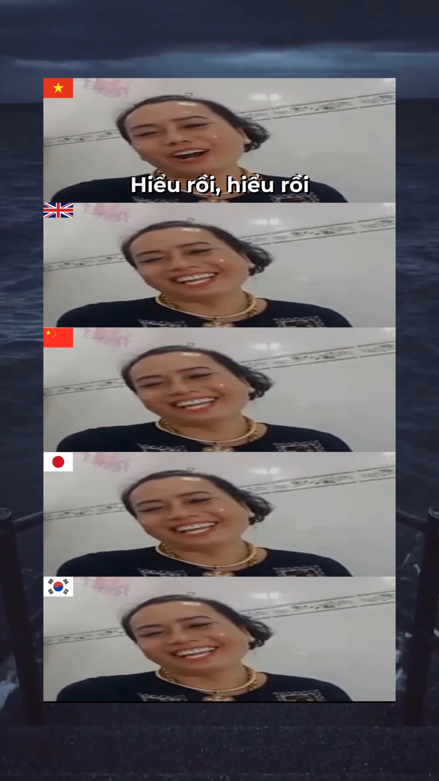 Hiểu rồi Understood 懂了  分かった 알았어 #linguistic #funny #fyp #cat 