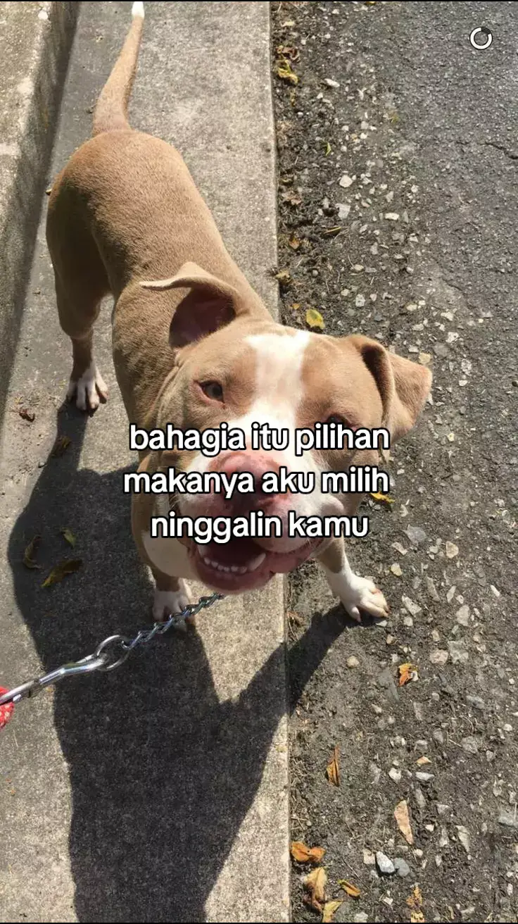 sakit seng#xyzbca #storymalam #fyp 